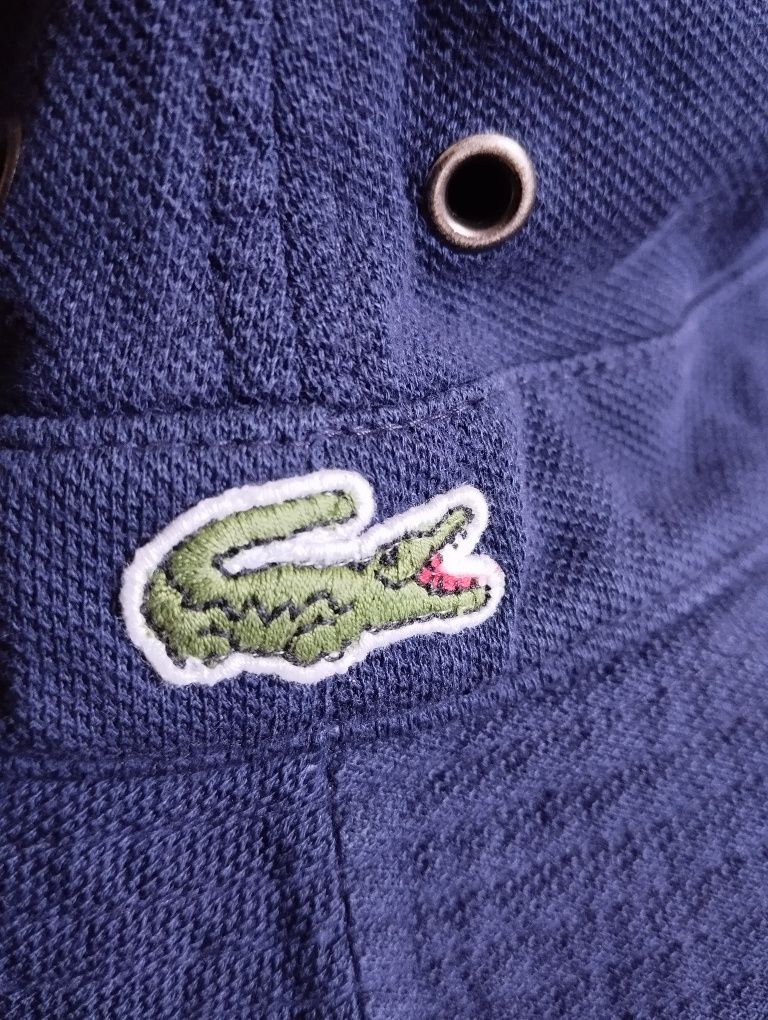 Панама.  Lacoste