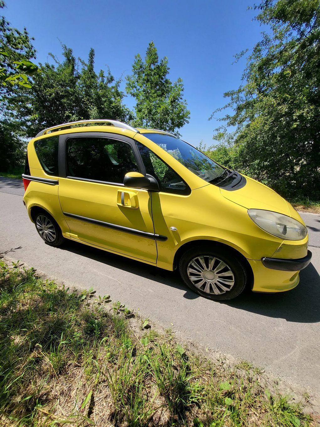 Peugeot 1007 Peugeot 1007 z 2005 roku