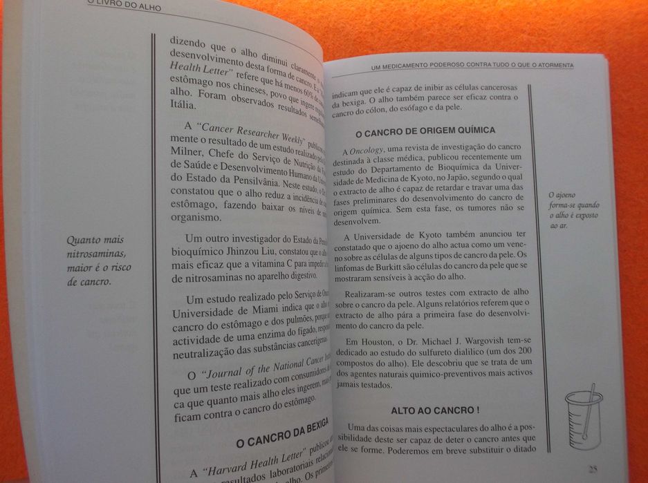 O Livro do Alho - Emily Thacker