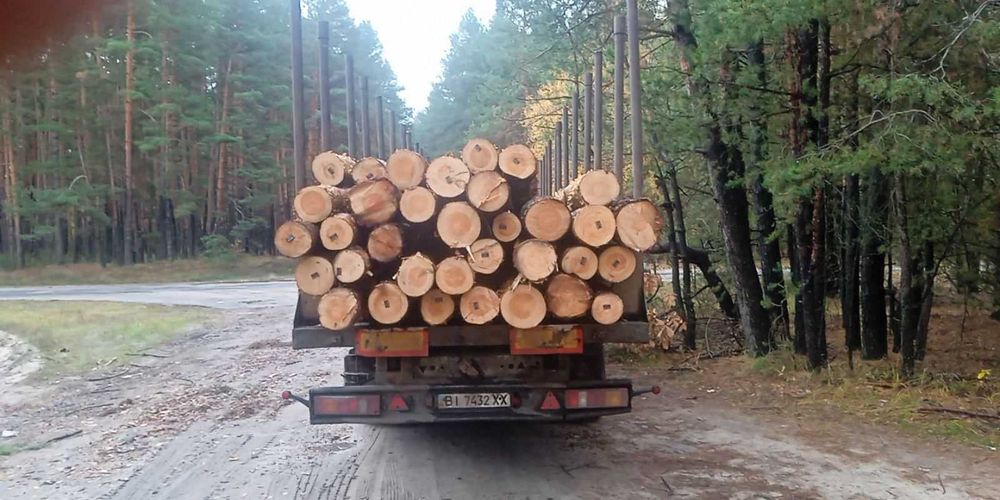 Сосна кругляк 20–25 см • довжина 4м / 4,5м • сорт В/С • є ПДВ