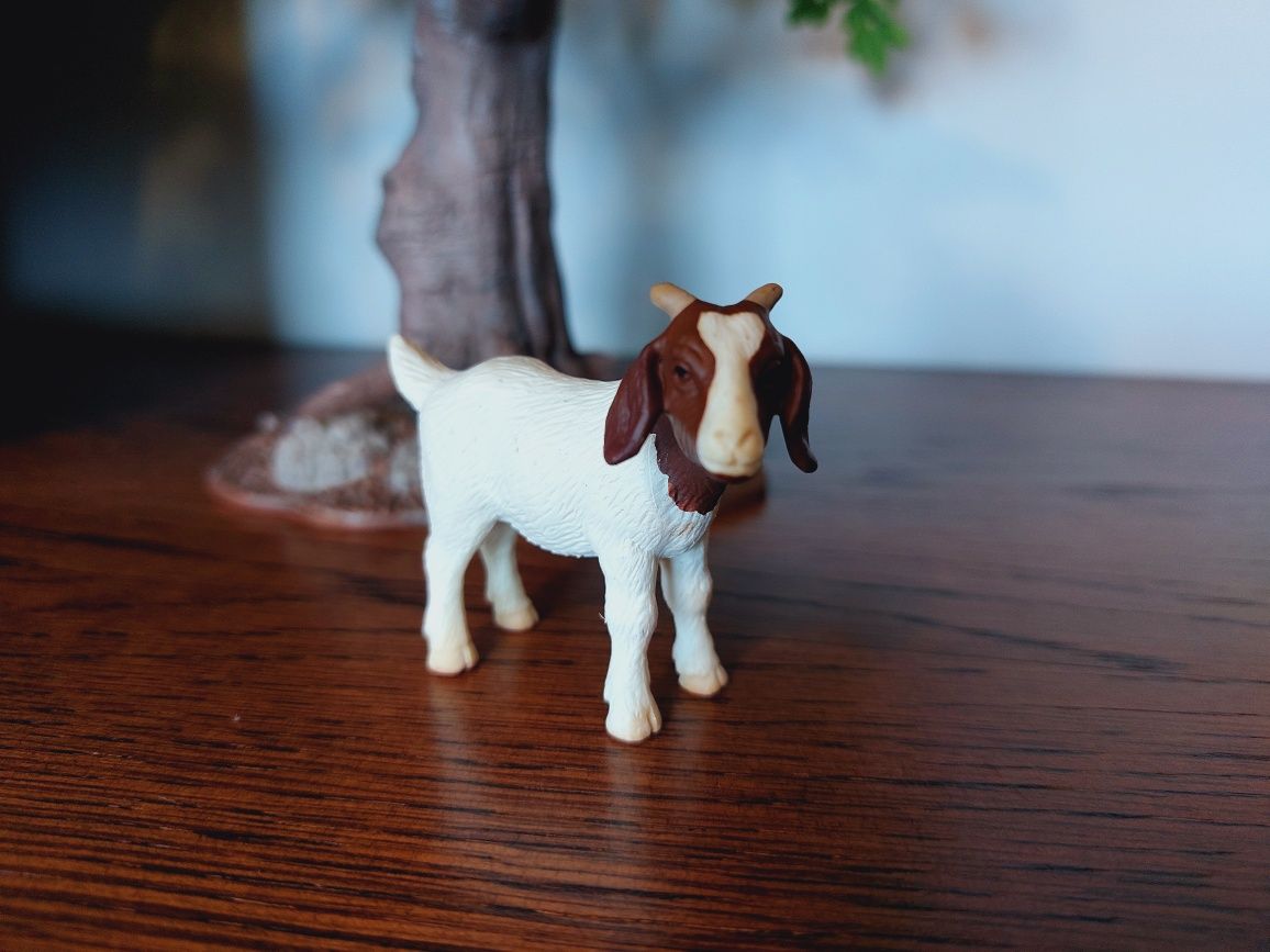Koza Burska schleich