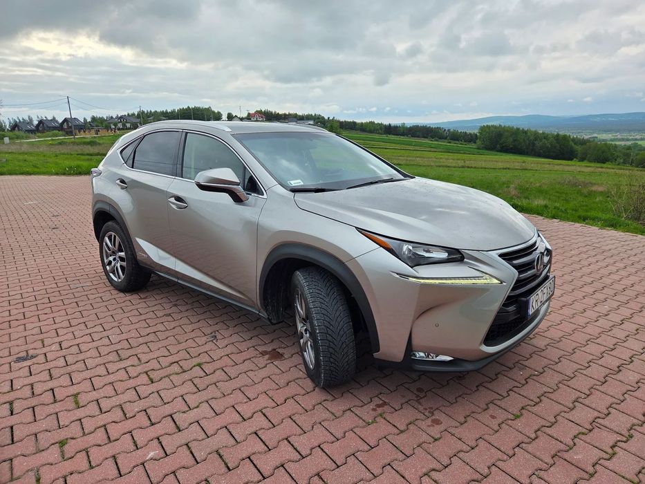 Lexus NX Vat 23% Stan bardzo dobry!! Brutto!!