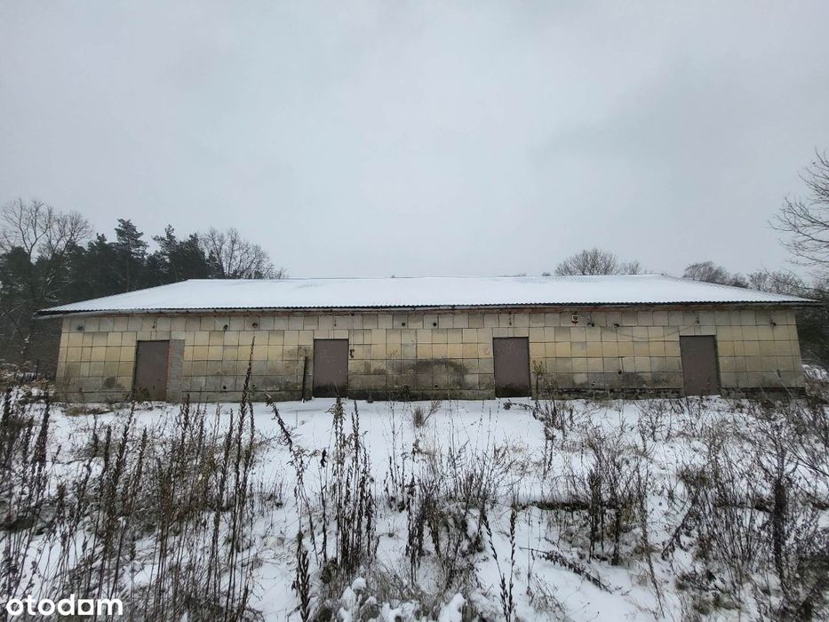 4 hale pod Warszawą