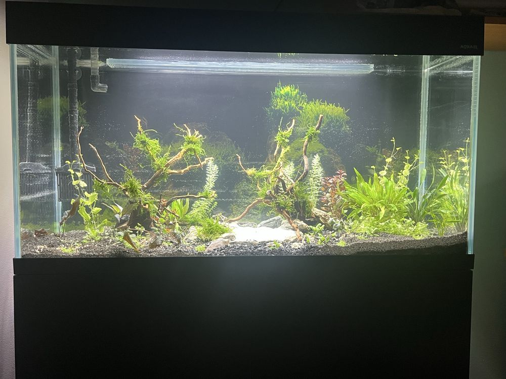 Aquael Optiset 200 L z szafką i filtrem