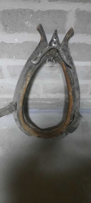 Homonto końskie, stare