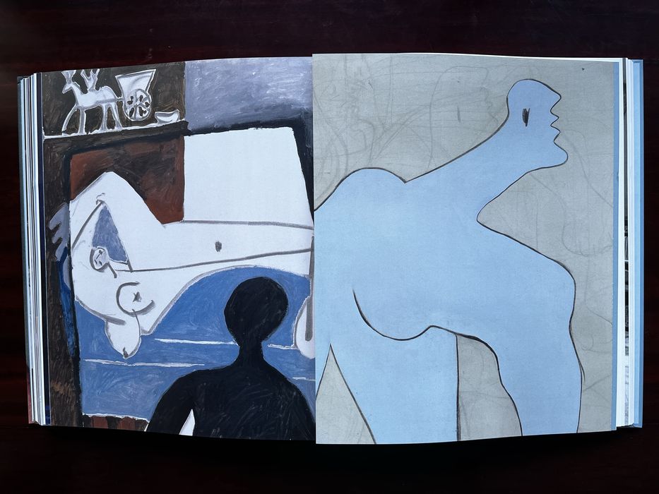 Picasso.Mania - Livro / Catálogo de Exposição 2015