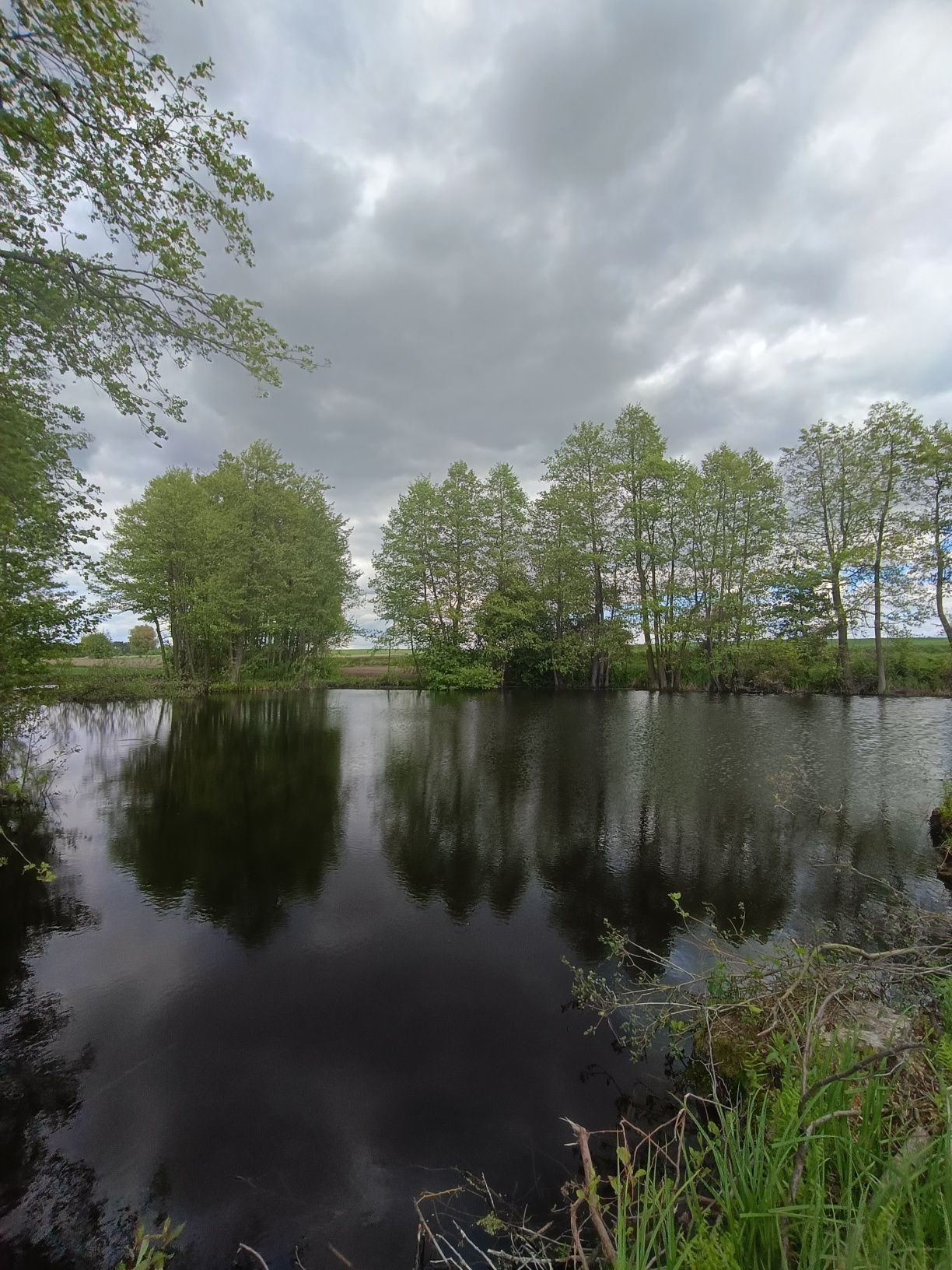 Działki nad Jeziorem Głuszyńskim