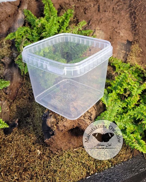 Pojemnik plastikowy braplast 1200ml – 12×12×11 cm