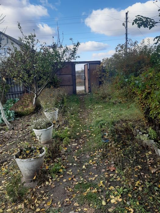 Продам дом. с.Высочиновка