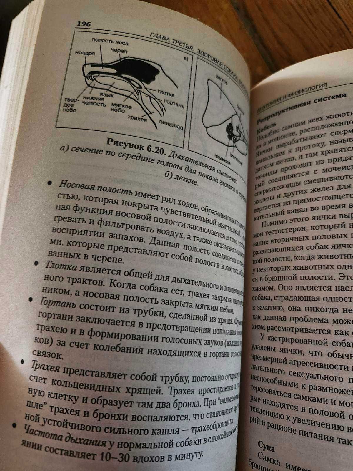 Собаки. Справочник по уходу и содержанию.  Год выпуска 2005