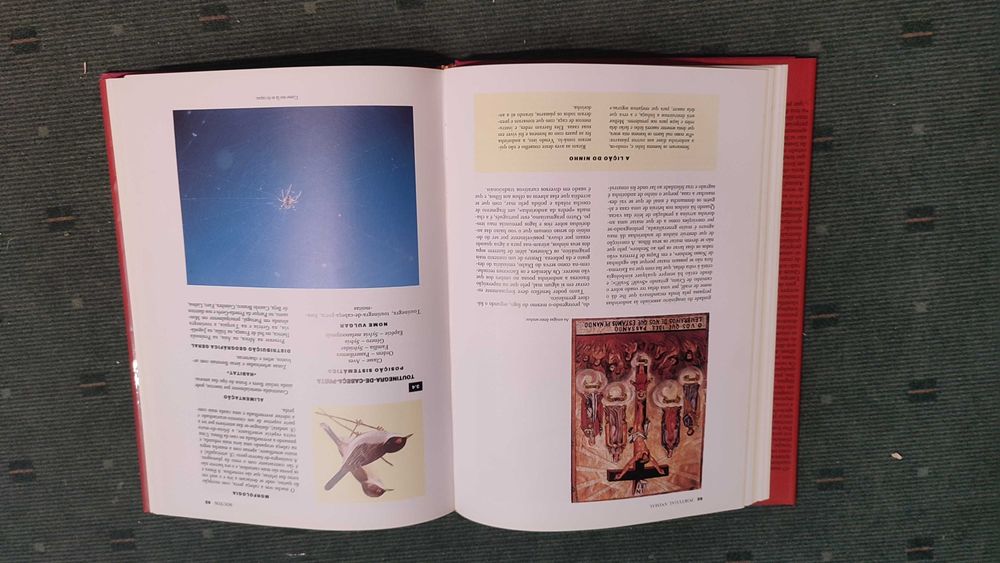 Portugal Animal - Clara Pinto Correia/António José Cidadão