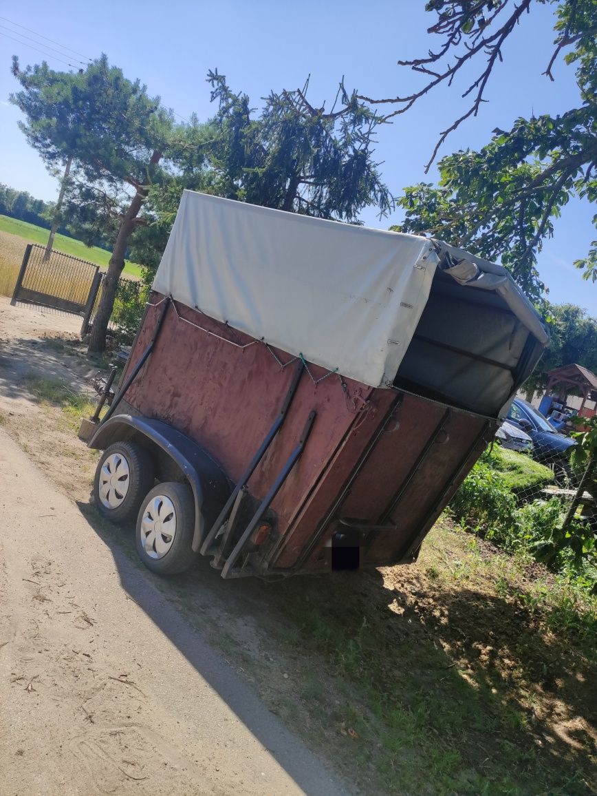 Sprzedam Klacz Zimnokrwistą