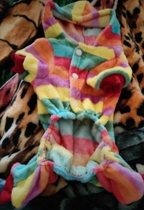 Roupa para animais