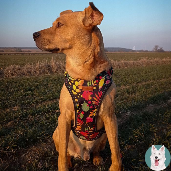 domek legowisko duże posłanie muszla dla gryzonia królika świnki 30x18