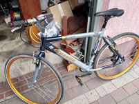 Rower gazela Playa 7000