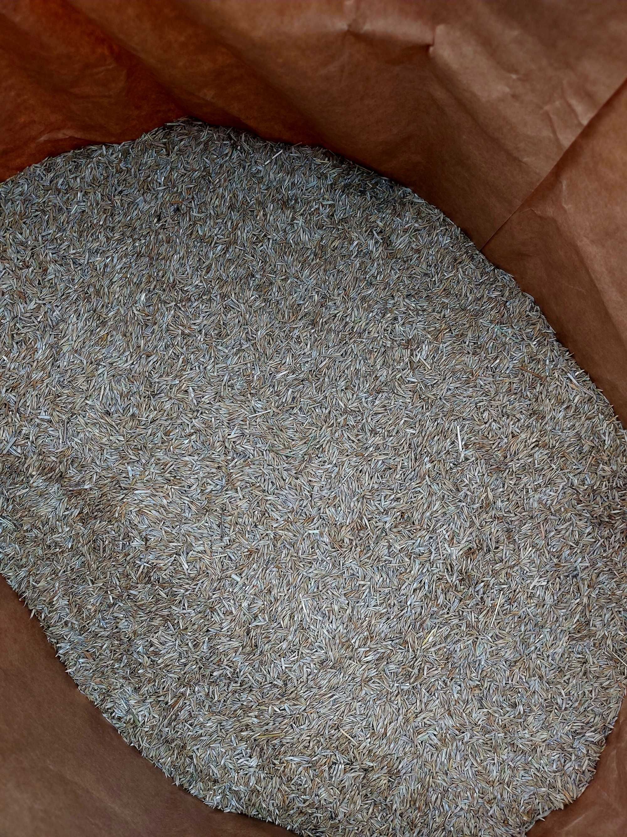 Nasiona Traw GF Universal GRASS