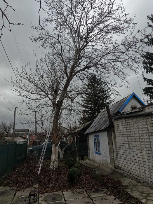 Обрезка деревьев Спил деревьв Обрезка сада Спил с вышки Вывоз Дробилка