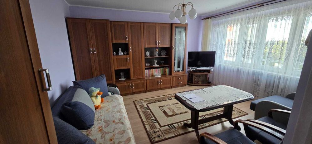 Wynajem mieszkanie 2-pokoje, 5-piętro z windą i domofonem na korytarzu