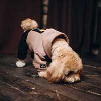 Одяг для собак різні розміри Комбінезон одежда для собачек