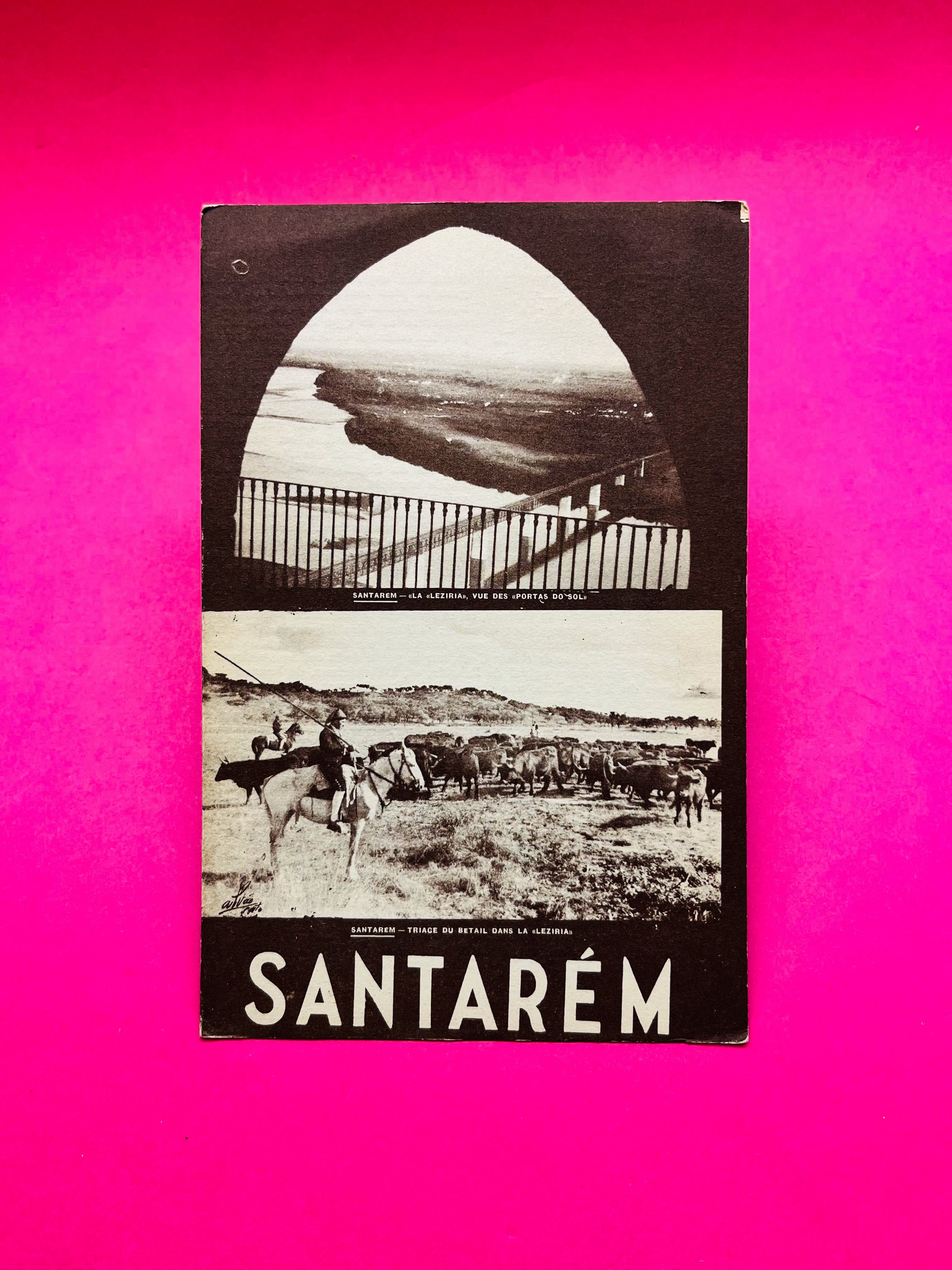 Santarém - Autores Vários