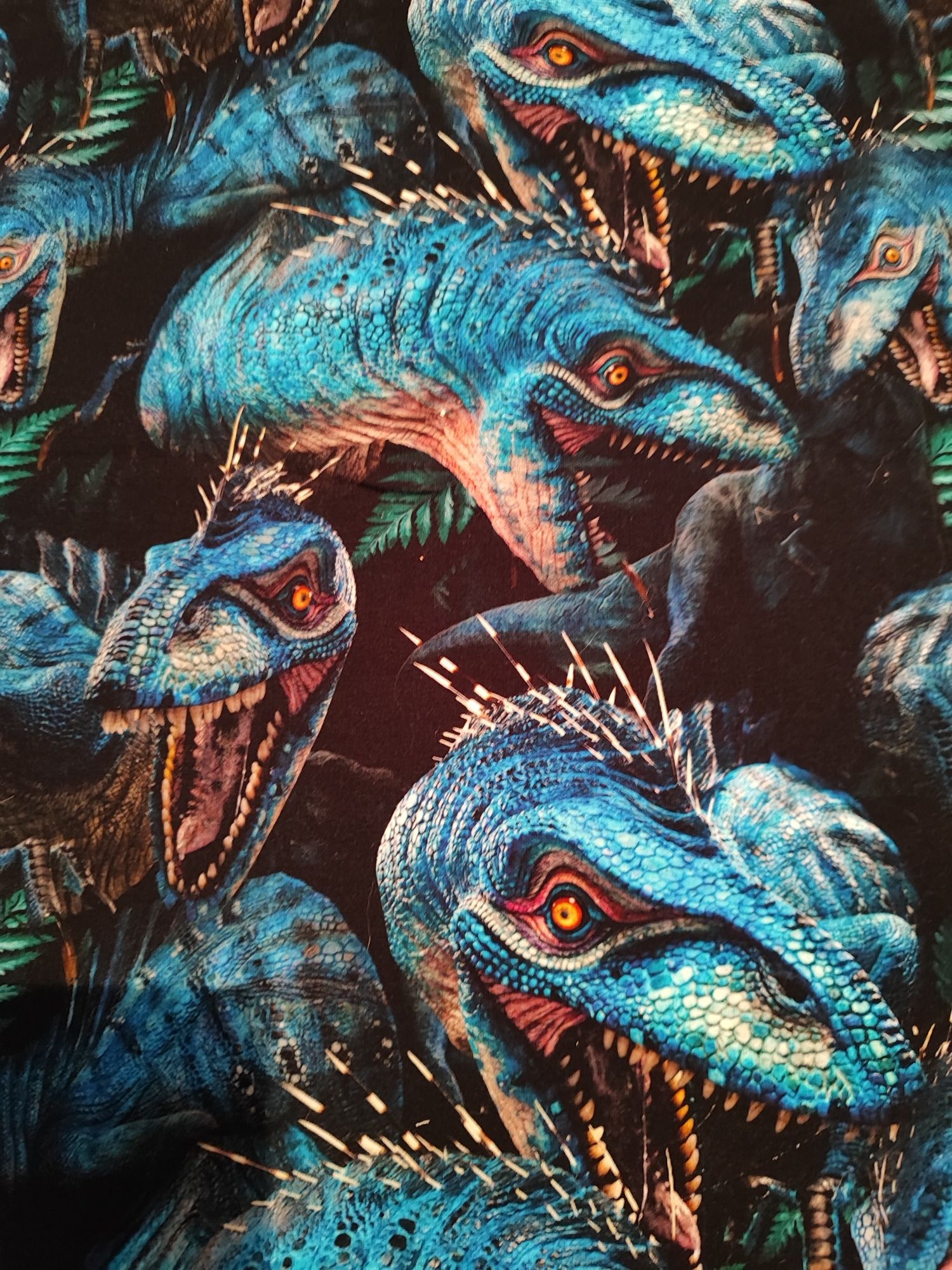 Zestaw dresówek dinozaury całość.