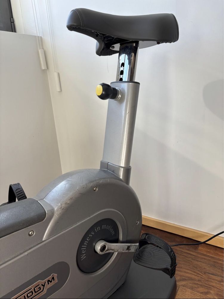 2 Bicicletas Estáticas Vertical - Thechnogym