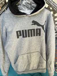 Кофта Puma(13-14)