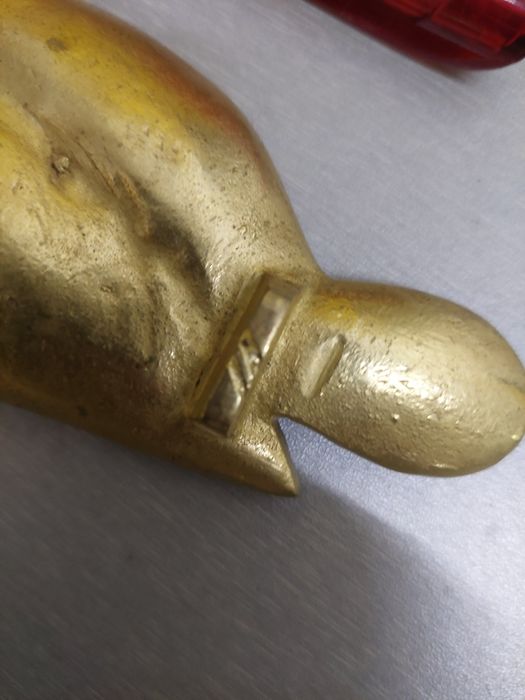 2 papagaio covilhetes