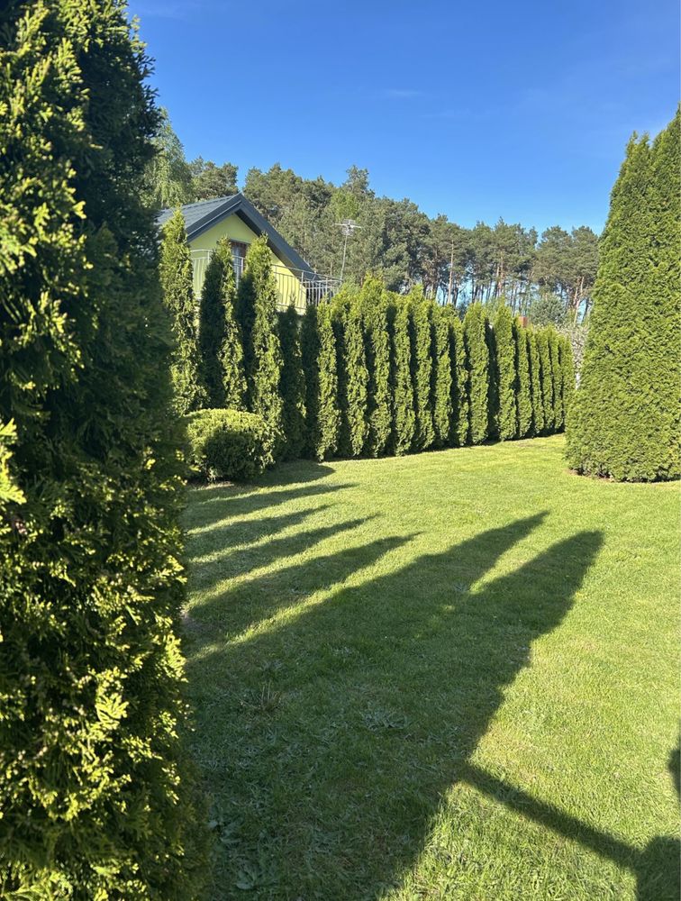 Działka ROD w Drzewce, domek całoroczny 70m2