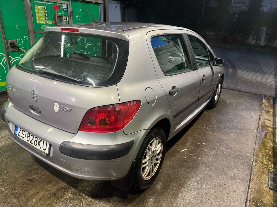 Peugot 307 1.6 Benzyna 2003 (progi do roboty)