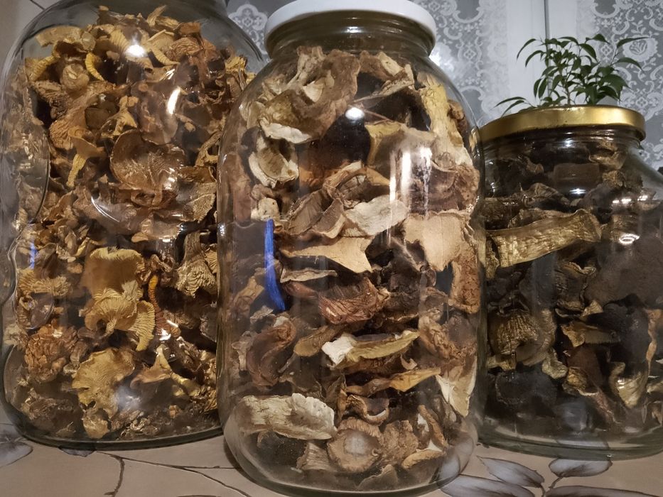 Grzyby suszone  tegoroczne