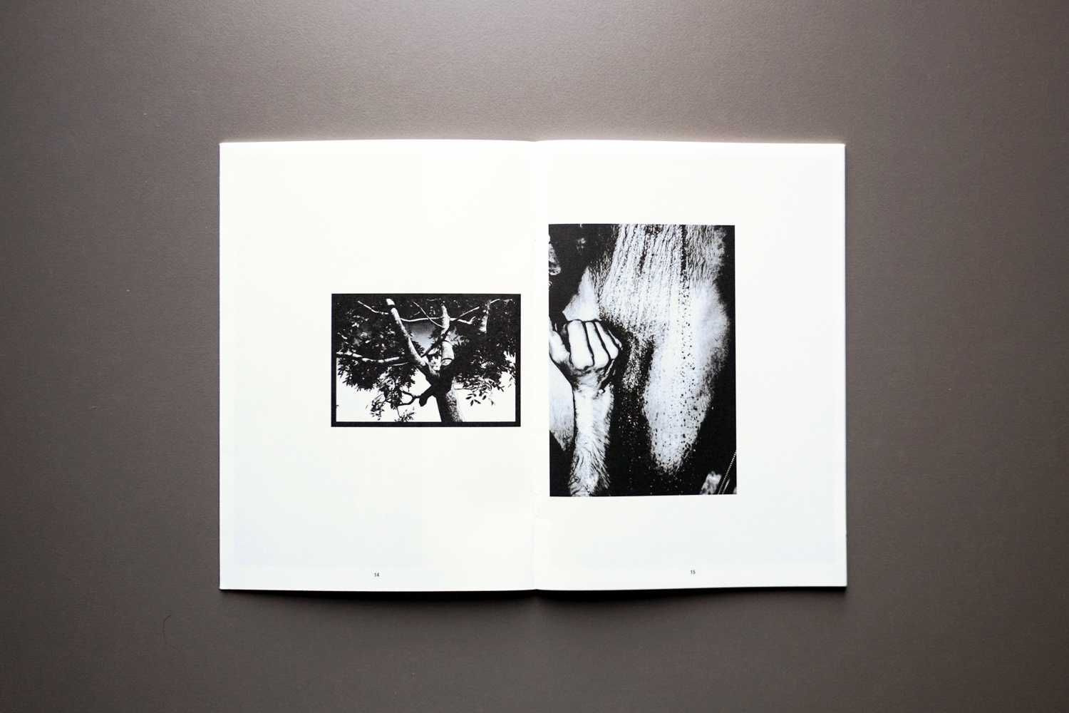 Preto Books Zine #1