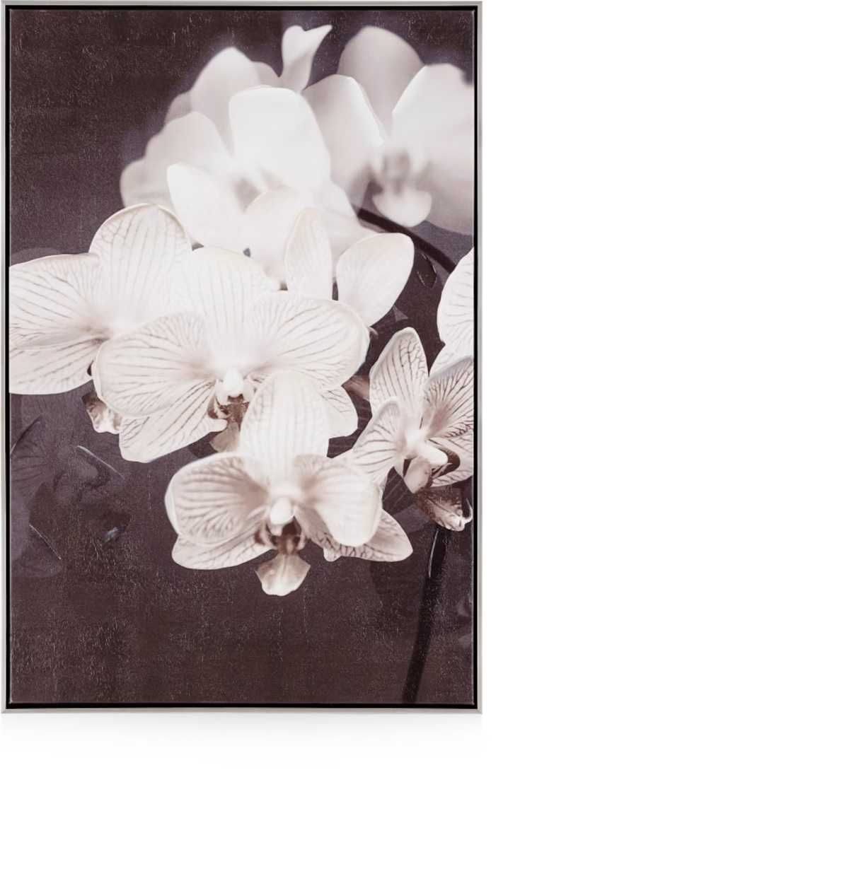Kwiaty obraz drukowany na płótnie  62x92 cm Orchidea