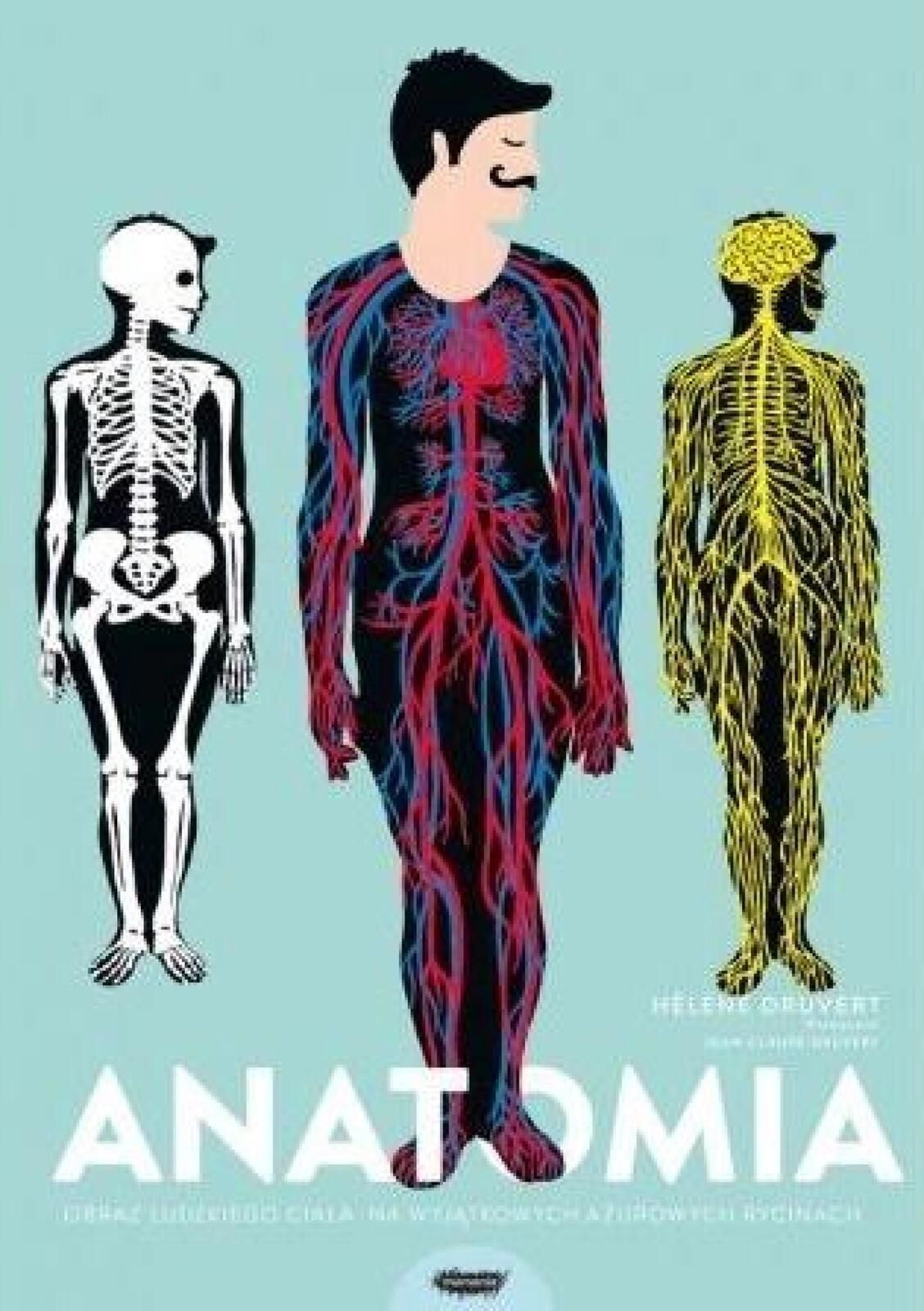 Anatomia. Obraz ludzkiego ciała. Mamania Helene Druvert Rok wydania