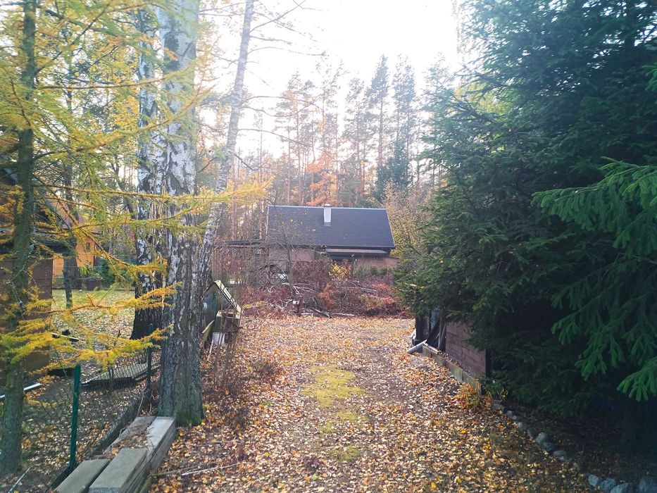 ROD CHOBOT "Iskra" 400m2 w okolicach Lasów Węgrowskich