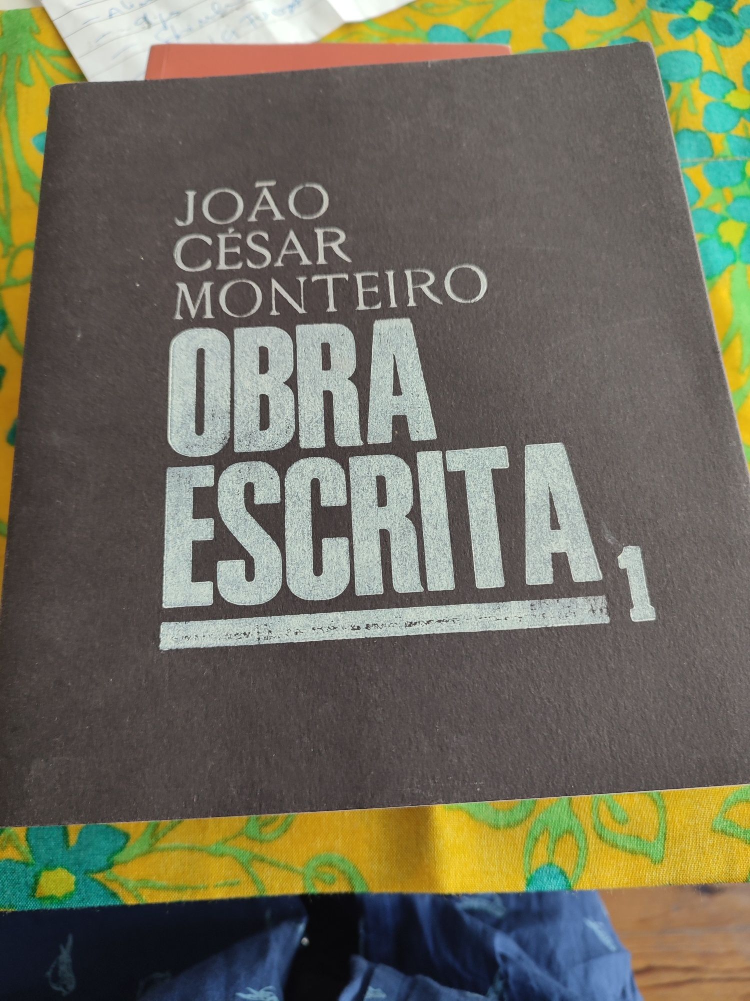 João César Monteiro OBRA ESCRITA 1