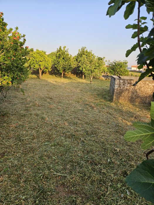 Limpeza de terrenos com Roçadora