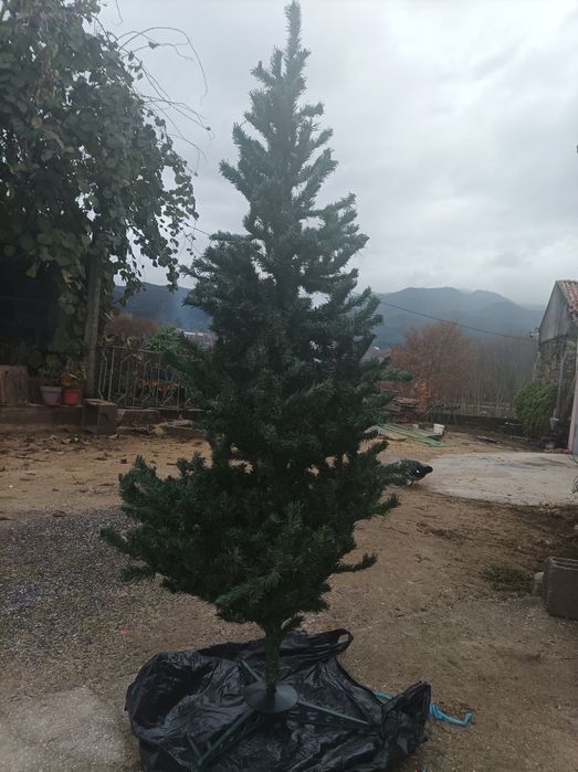 Árvore de natal 1,70m