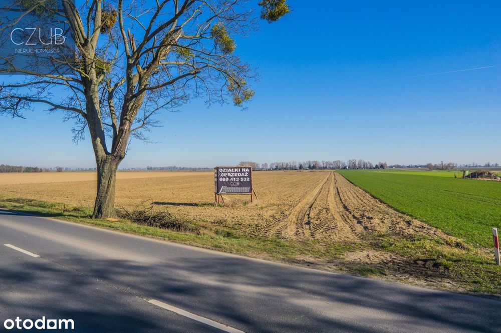 Działki obok Zaniemyśla / WZ / Media w drodze / blisko Jezioro i Las