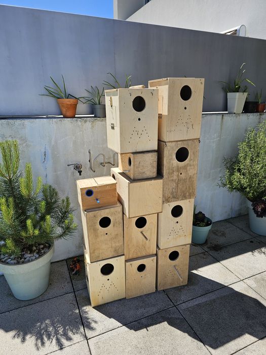 Ninhos madeira maritima - varios tamanhos