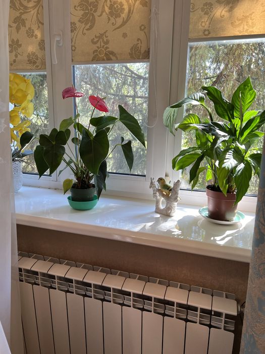 45 тис. ‼️Квартира с ремонтом/ Мерефа/ Автономка