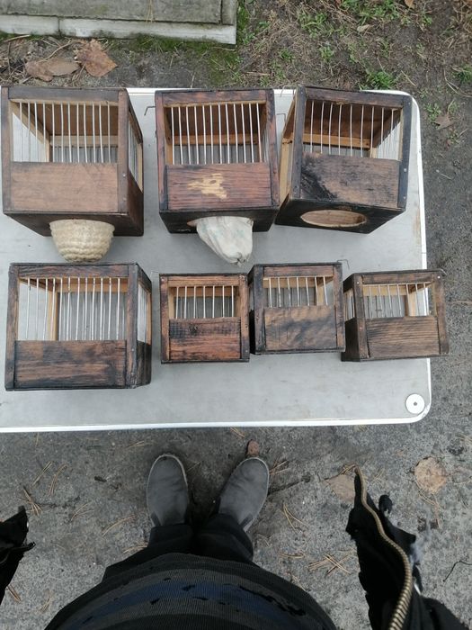 Гнезда и переноски для птиц