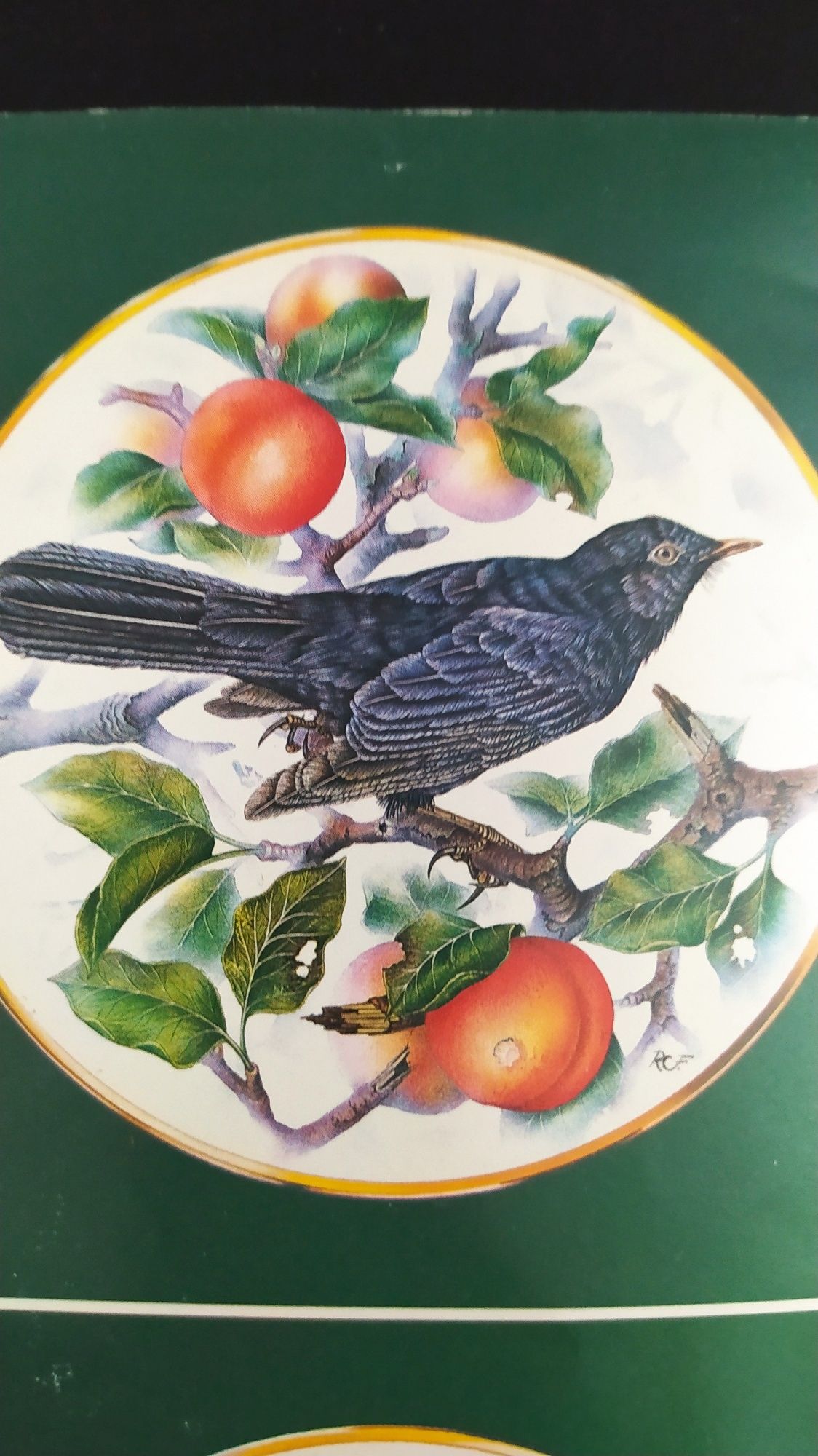Coleção de pratos " Aves Cantoras" 24 cm.