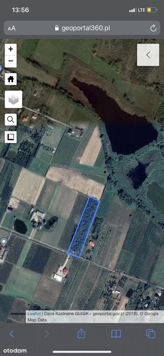 Działka 1 Ha Michrów Koło Grójca Na Sprzedaż