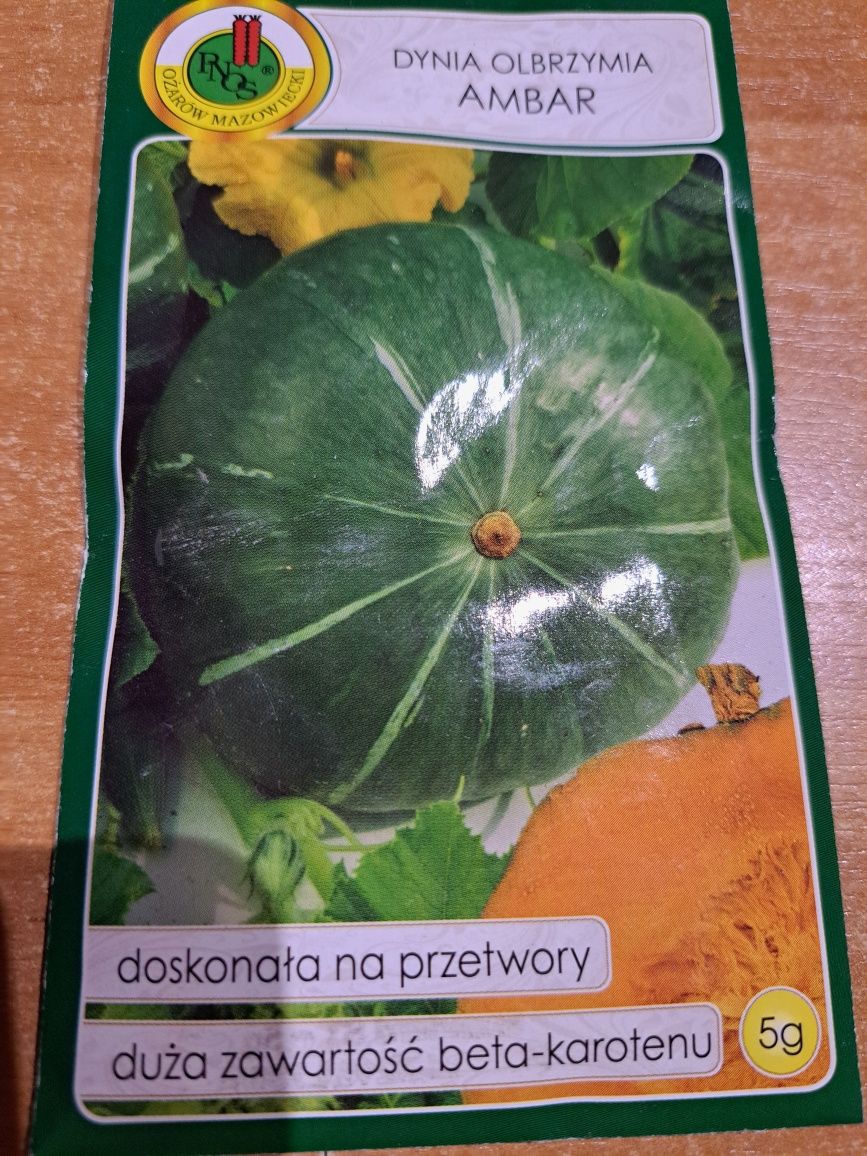 Dynia olbrzymia/piżmowa nasiona