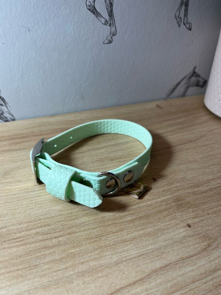 Obroża plaster miodu
