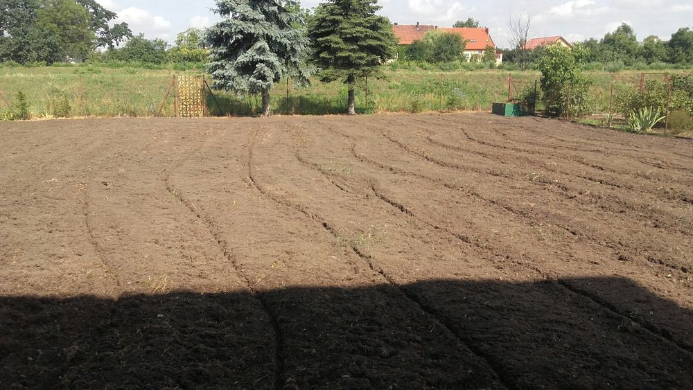 Uslugi ogrodnicze,glebogryzarka,zakładanie trawników