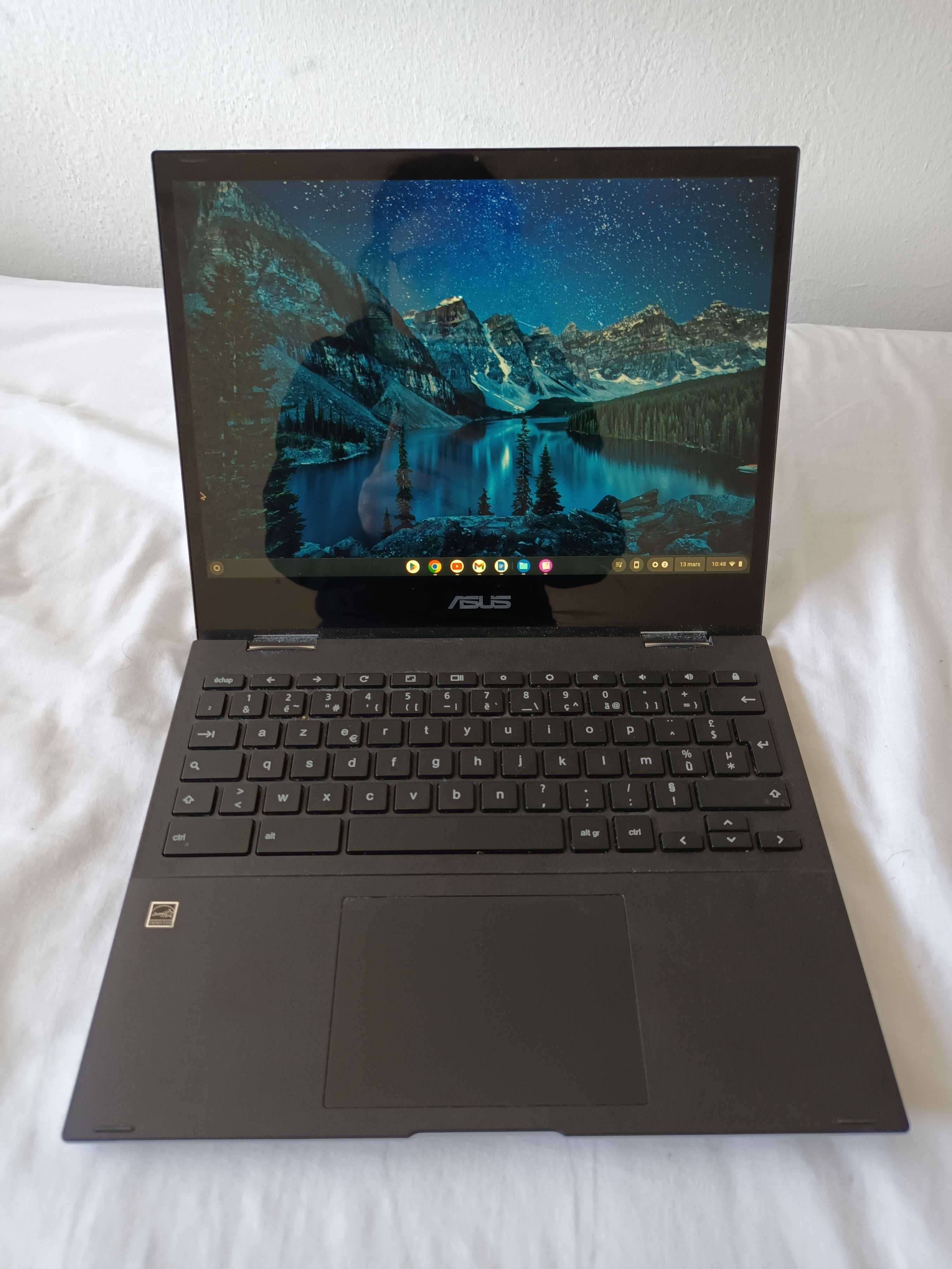 Asus Chromebook Flip (ASUS Chromebook Flip CM3 (CM3200))