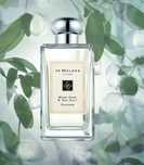 Нішеві парфуми 100ml Jo Malone Wood Sage&Sea Salt