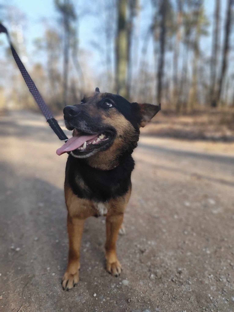 Kochana Frida czeka na dom
